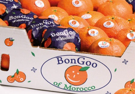 Photo d'une caisse de mandarines BonGoo of Morocco