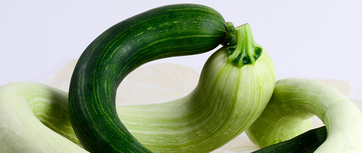 Photo de courgettes anciennes entremêlés