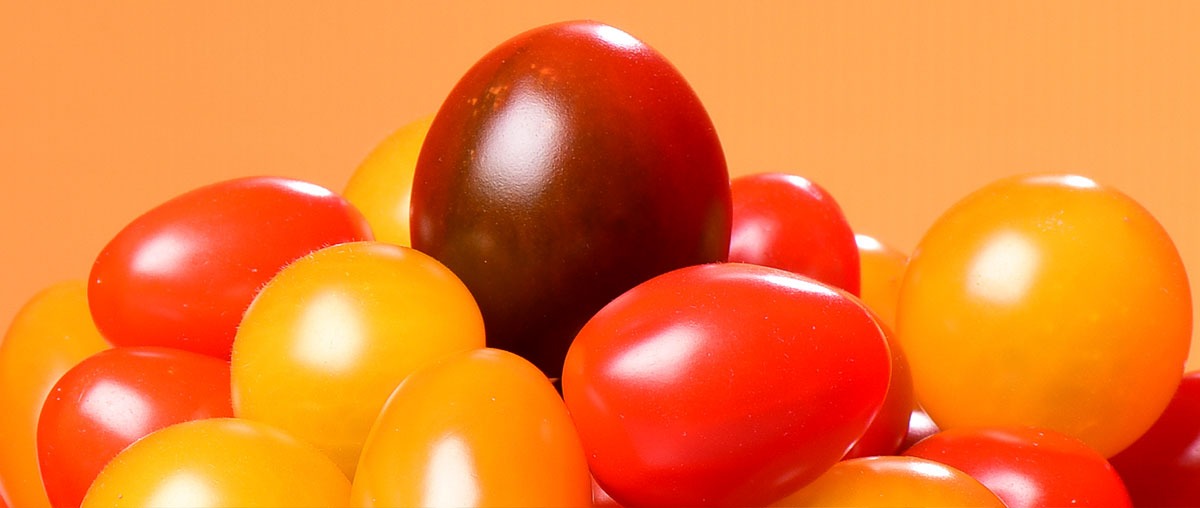 Photo de tomates cerises mélangées multicolores