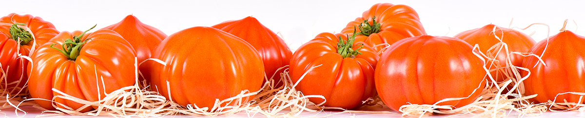 Photo de tomates anciennes de Provence rouges