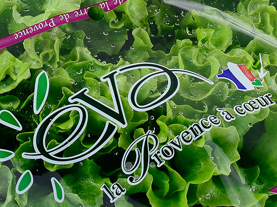 Photo de salades de Provence sous flowpack eva par idyl