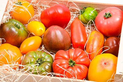 Tomates anciennes Idyl