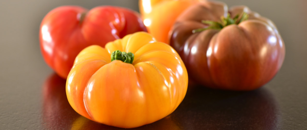 Idyl producteur de tomates de Provence