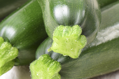 Courgettes de Provence par Idyl