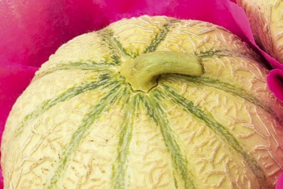 Melon de Provence Idyl