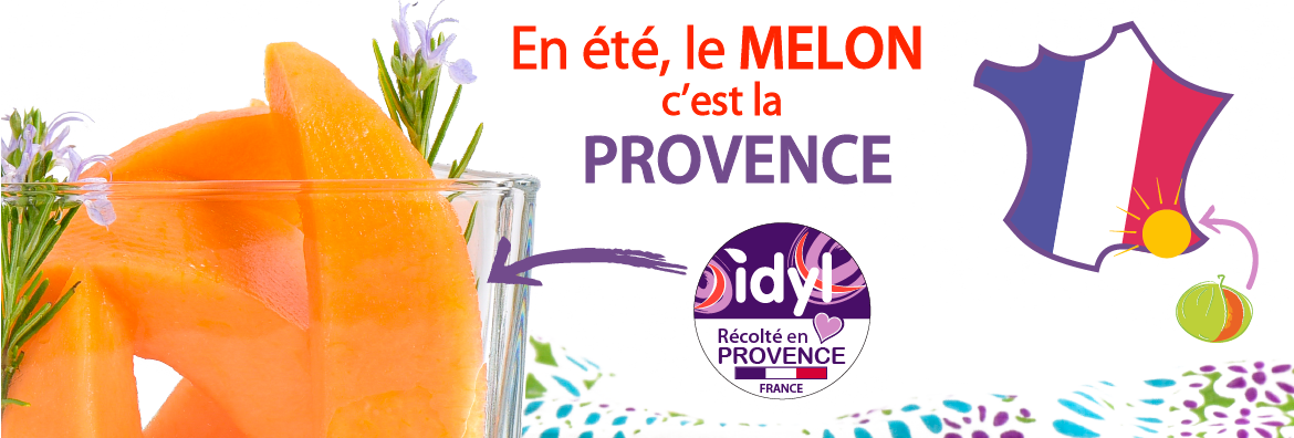 Melon Charentais jaune de Provence par Idyl