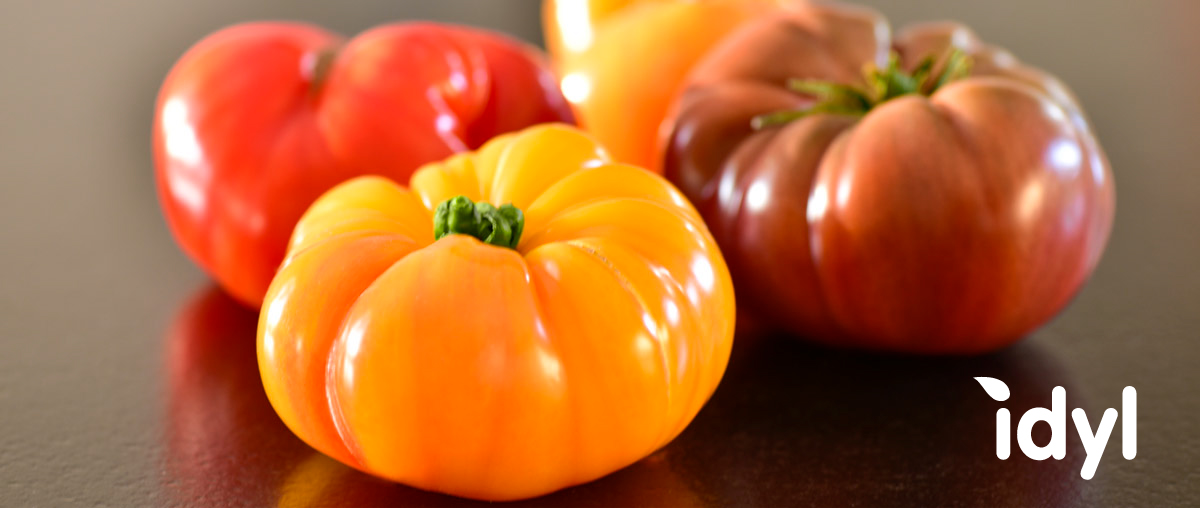 Tomates anciennes de Provence Producteur