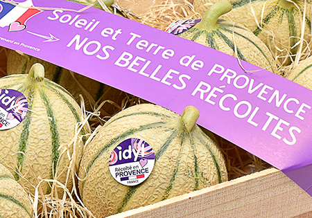 Nos belles récoltes Melon de Provence